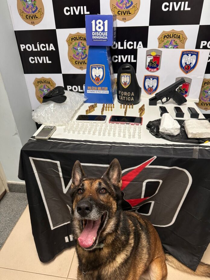Com ajuda de cão, polícia encontra 'cocaína bruta', arma e prende homem em Pinheiros. Crédito: PMES / PCES